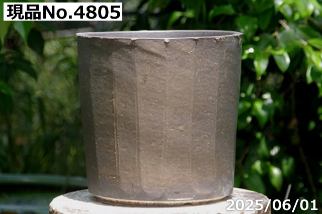 選べる  黒金彩ストライプ  寸胴 8号(外径29cm 高さ25cm)サナサービス 信楽焼 植木鉢 陶器 【送料無料】の画像
