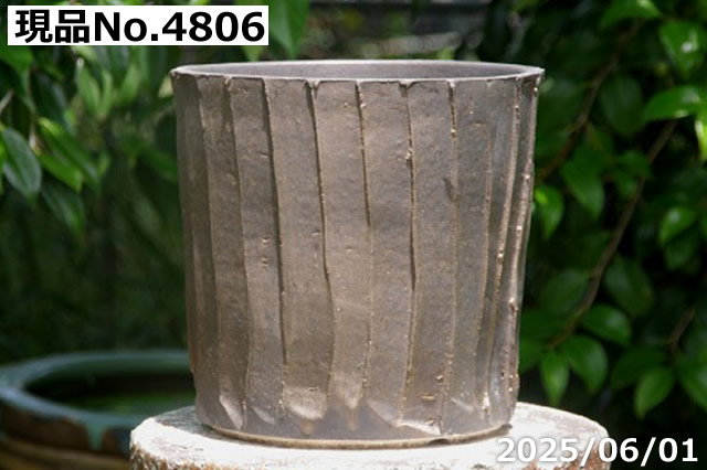 選べる  黒金彩ストライプ  寸胴 8号(外径29cm 高さ25cm)サナサービス 信楽焼 植木鉢 陶器 【送料無料】の画像