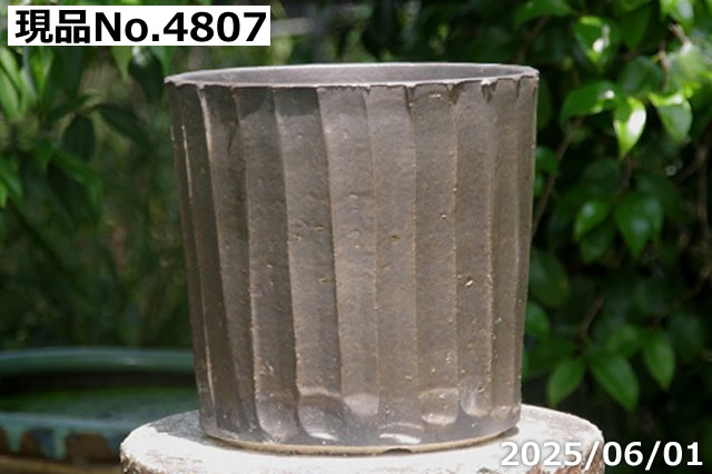 選べる  黒金彩ストライプ  寸胴 8号(外径29cm 高さ25cm)サナサービス 信楽焼 植木鉢 陶器 【送料無料】の画像