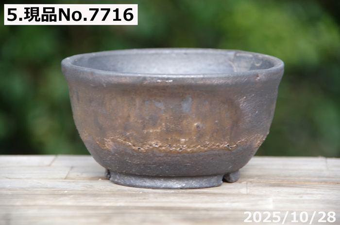 金彩 植木鉢 商品一覧 - 石田精華園 Yahoo!店 - 売れ筋通販 - Yahoo