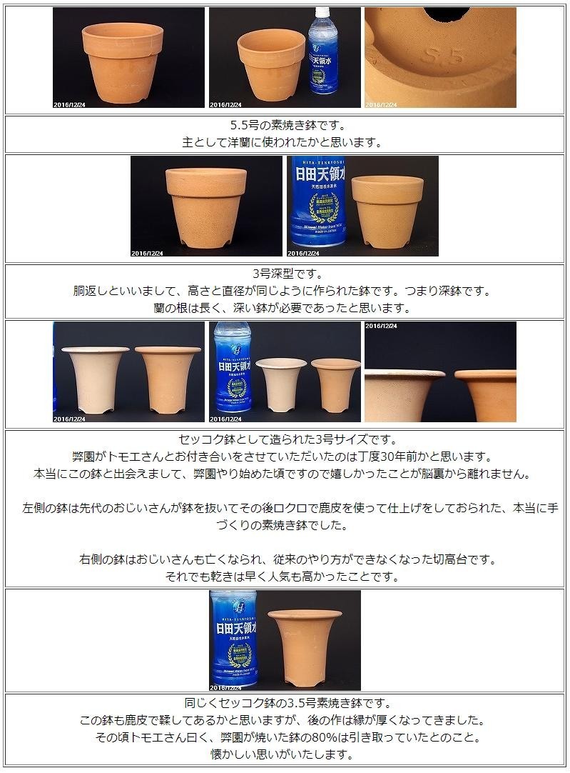 乾きの早い三河焼 素焼き鉢 浅鉢 4号 旧トモエ製 (焼き直し 再生鉢) 【植木鉢】 : sh-053 : 石田精華園 Yahoo!店 - 通販 -  Yahoo!ショッピング