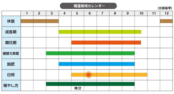 信楽焼 睡蓮鉢　窯変流しひねり水鉢　25号（直径77cm 高さ33cm）