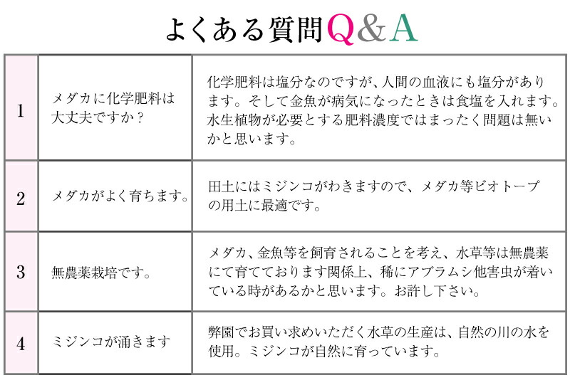 信楽焼 睡蓮鉢　窯変流しひねり水鉢　25号（直径77cm 高さ33cm）