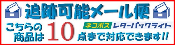 TeamFive チームファイブ ペンケース APC-3610-4012 :apc-36-40:イシダスポーツ - 通販 - Yahoo!ショッピング