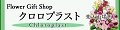 クロロプラスト