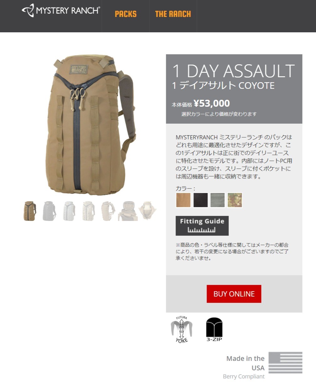 MYSTERY RANCH ミステリーランチ バックパック 1Day Assault 1