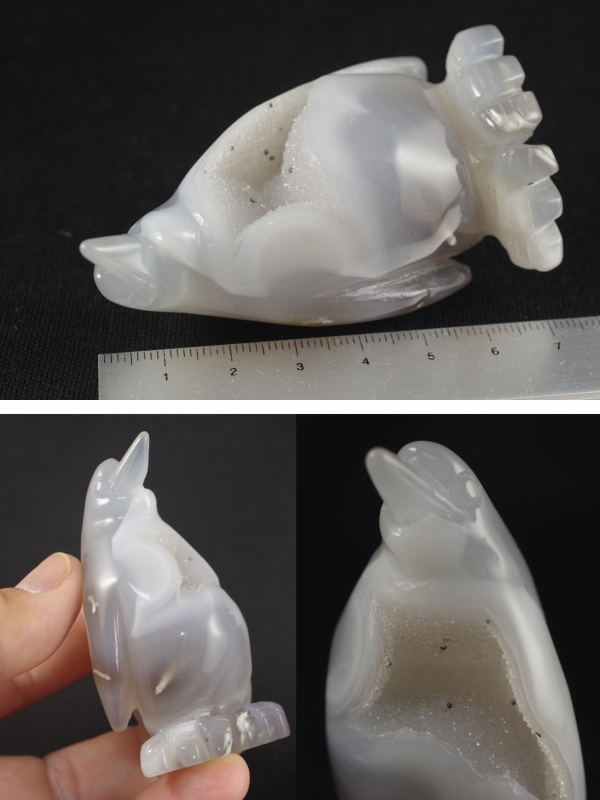 アゲートペンギン