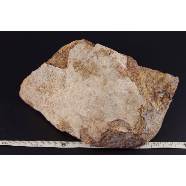 フォッシルジャスパー 原石