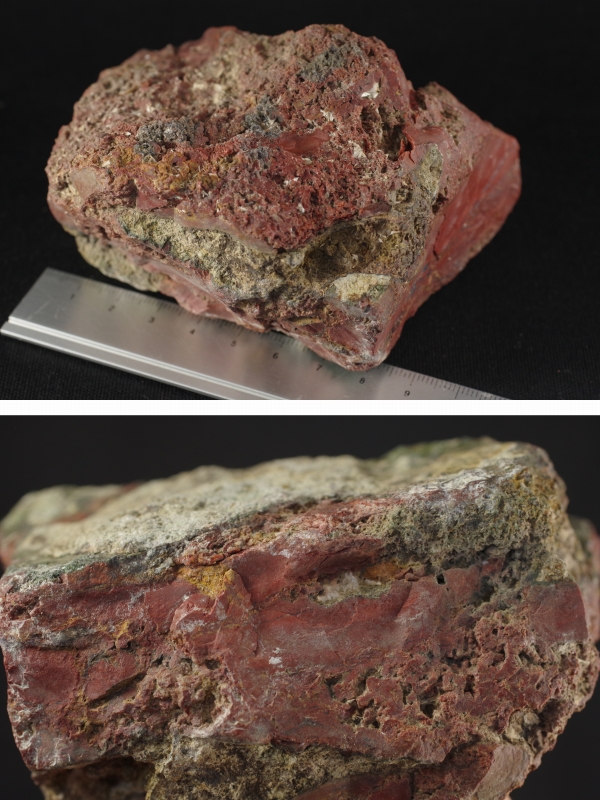 今金産ジャスパー