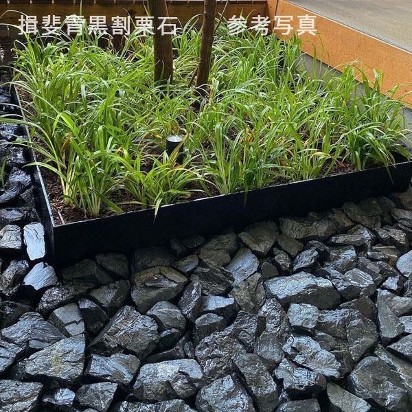 imgrc0079123749.jpg