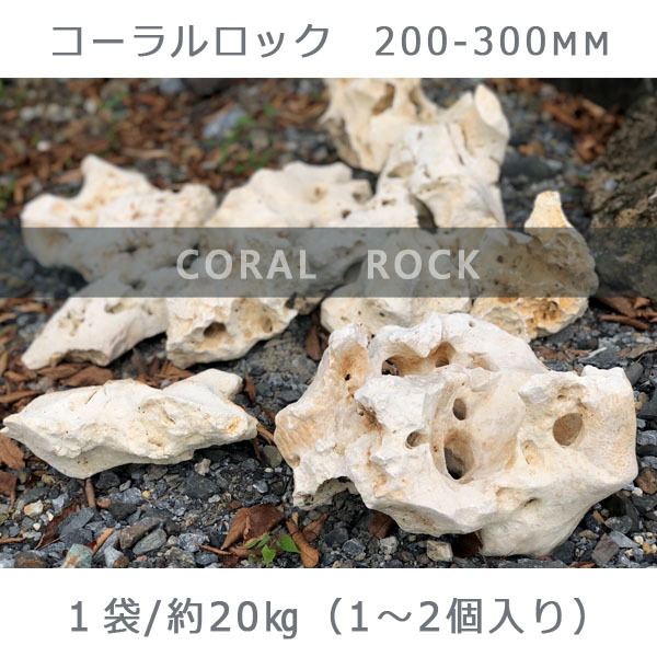コーラルロック 200ー300mm 1-2個 1袋 約20kg ガーデニング おしゃれ