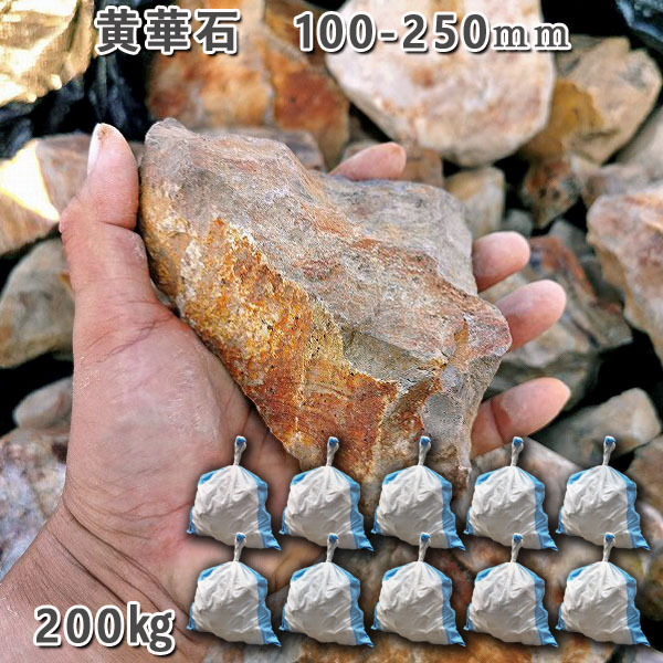 黄華石 100ー250mm 10袋セット 計約200kg ガーデンロック ガーデニング