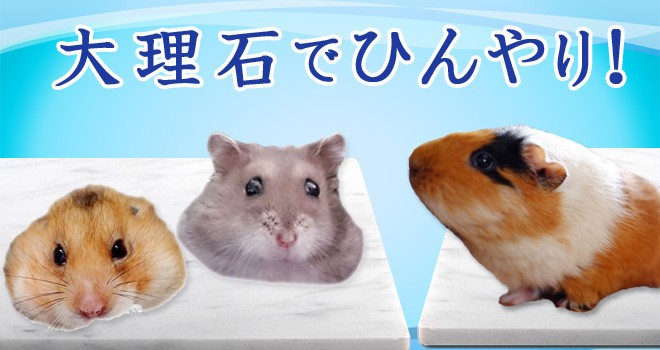大理石でひんやり