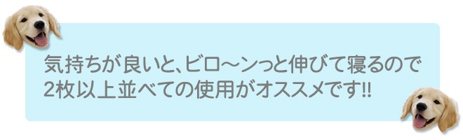 ２枚並べて使用おススメ