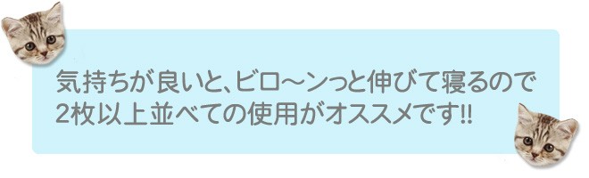 ２枚並べて使用おススメ