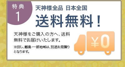日本全国 送料無料