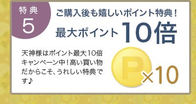 最大ポイント10倍！