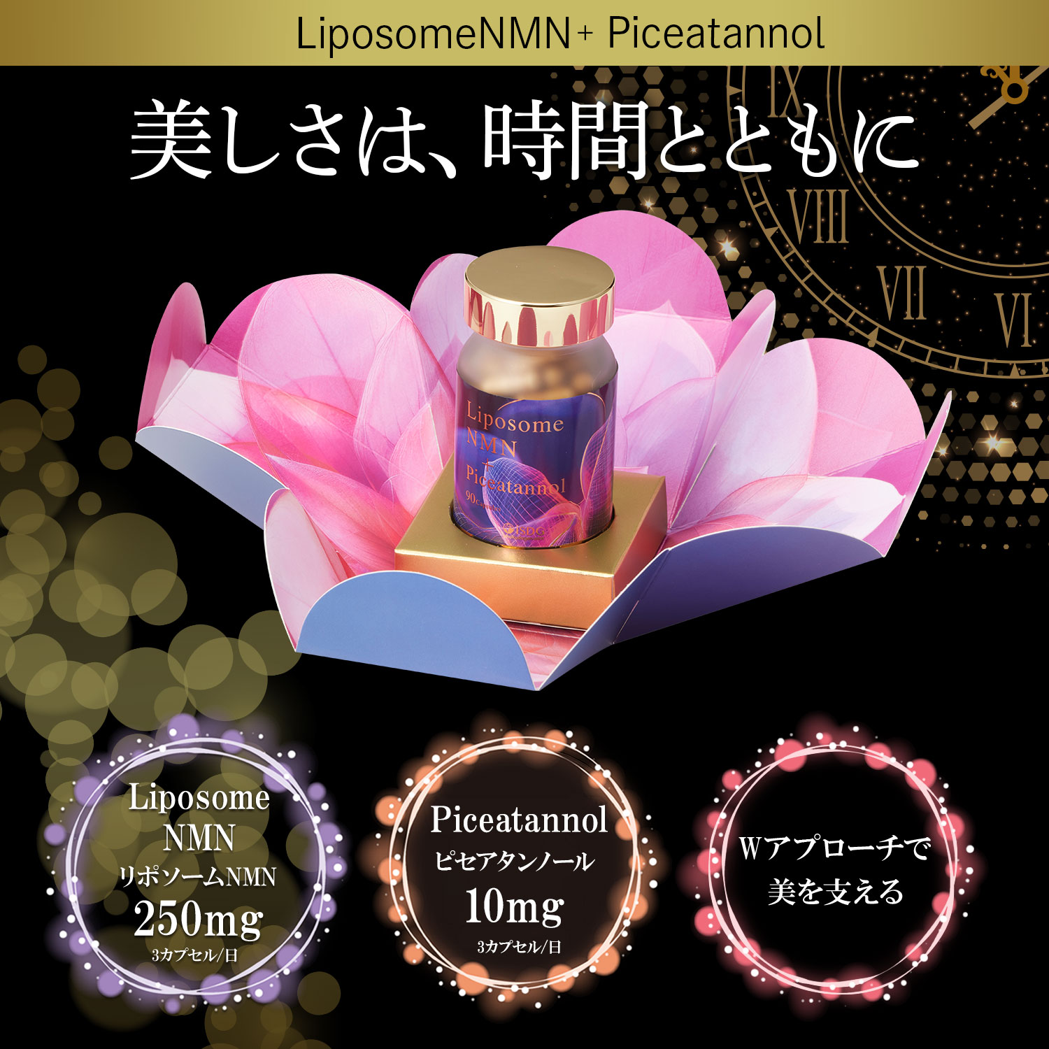Liposome NMN＋Piceatannol 90粒 / リポソーム NMNサプリ ピセアタン