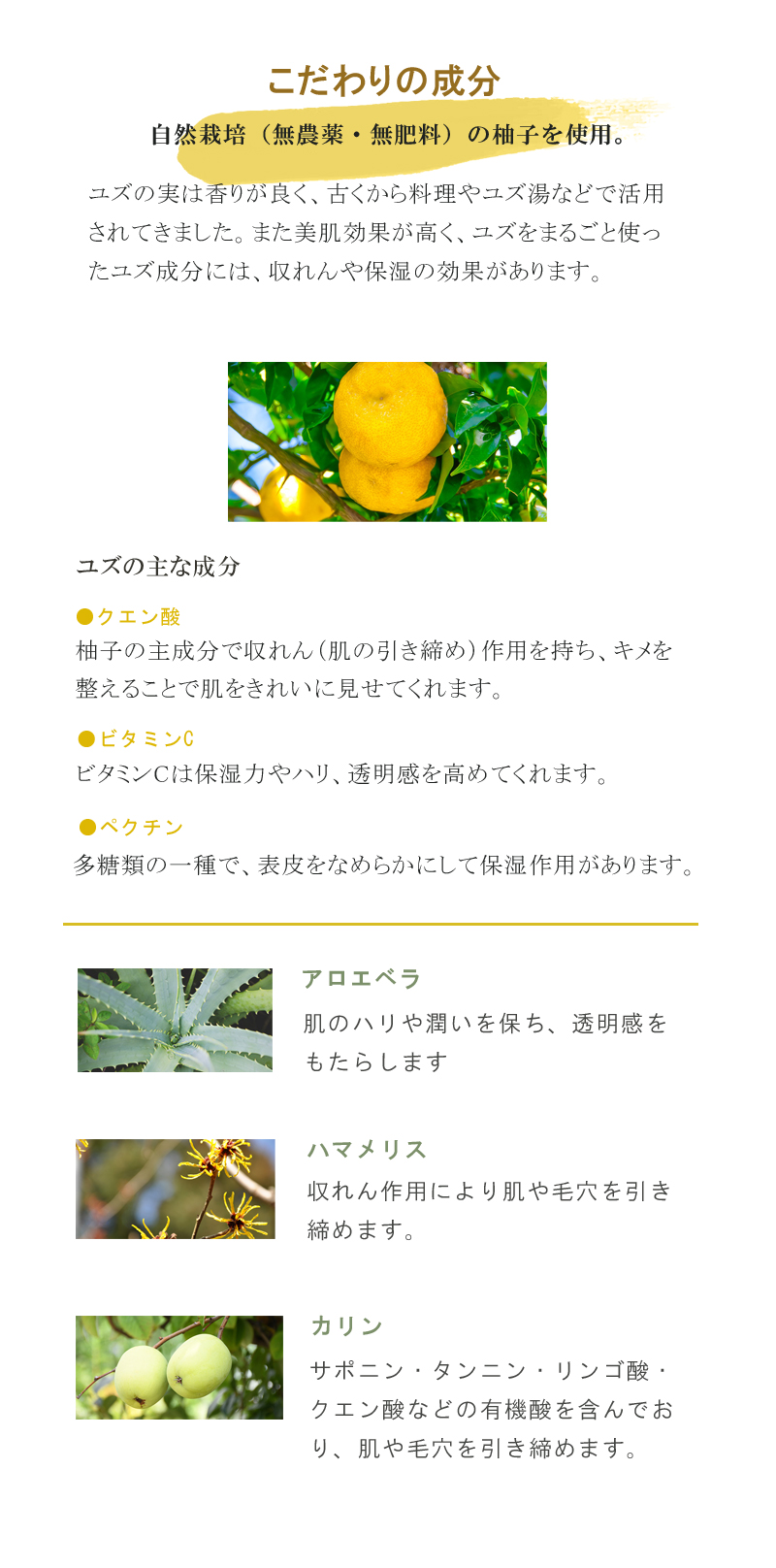 成分