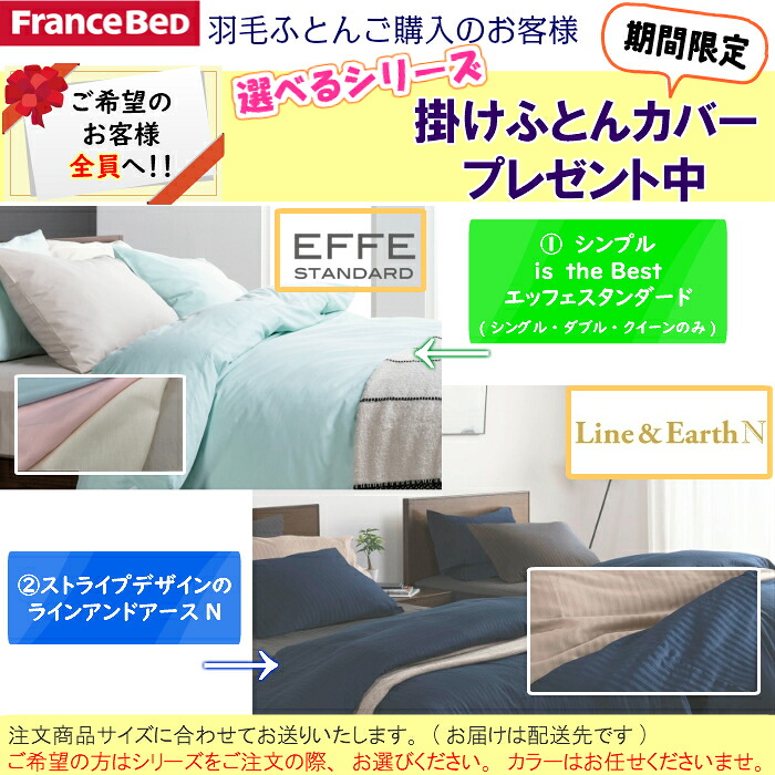 フランスベッド（FRANCEBED） 送料無料 カバープレゼント 羽毛布団 AS