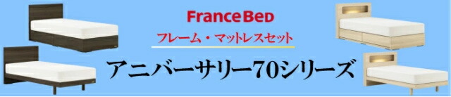 フランスベッド クィーン ベッド ディーレクトス DL-F101 TW-200αマットセット セミシングル２枚 DRフレーム(引出し) フラット コンセント付 梱設置無料 - 34