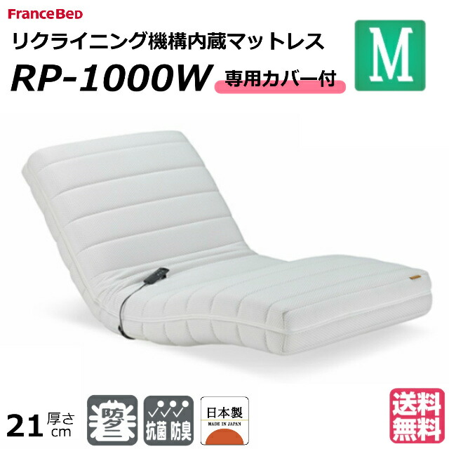 フランスベッド（FRANCEBED） 開梱設置無料 専用カバー付 電動