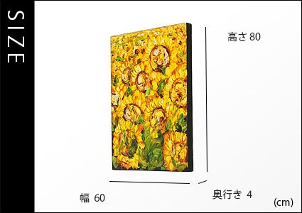 バリアートo18のサイズ詳細