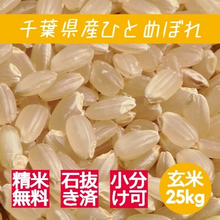 米 お米 玄米 25kg あきたこまち 令和4年産 本州四国 送料無料 精米