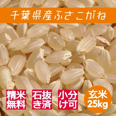 米 お米 玄米 24kg (8kg×3袋) 多古米 コシヒカリ 令和5年産 本州四国