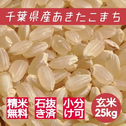 米 お米 玄米 24kg (8kg×3袋) あきたこまち 令和5年産 本州四国 送料