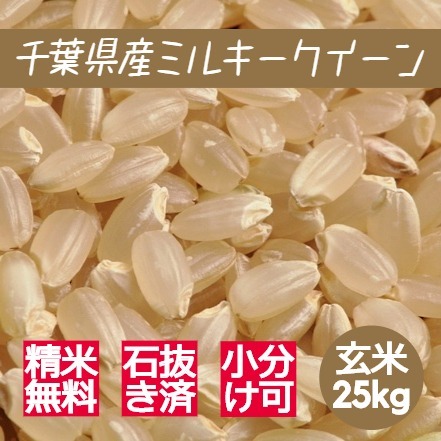 新米 米 お米 玄米 24kg (8kg×3袋) ミルキークイーン 令和5年産 本州