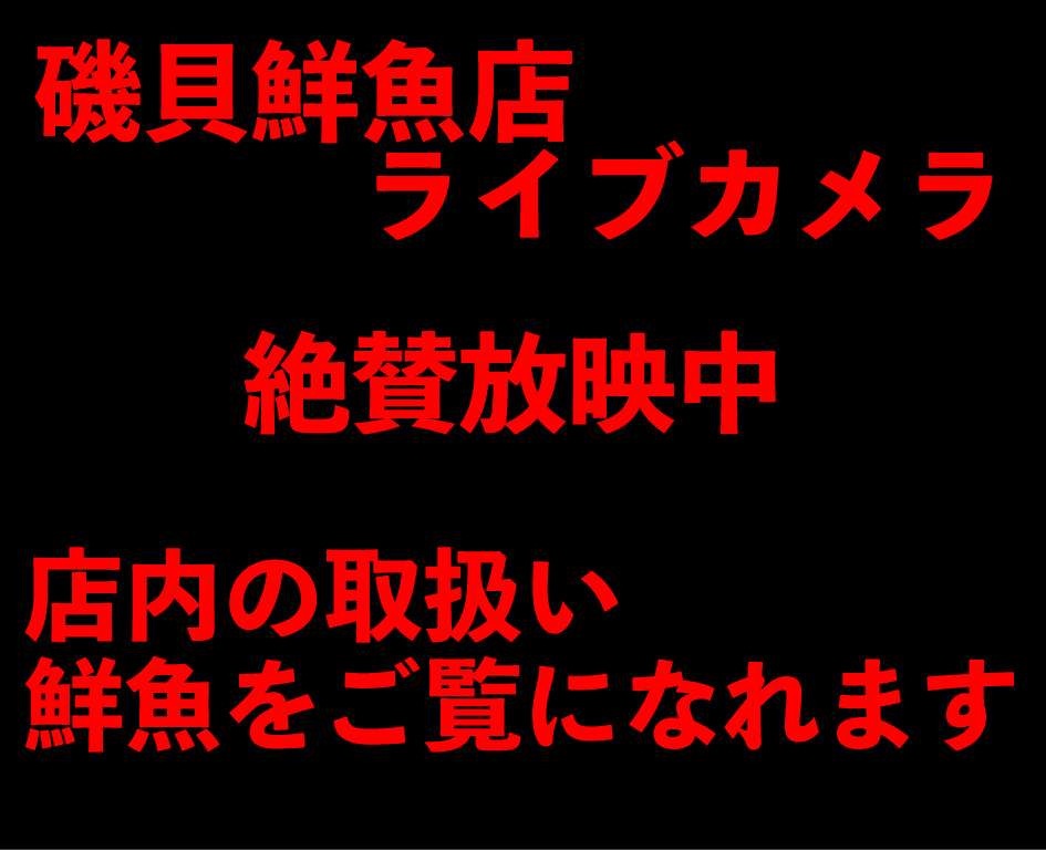 磯貝鮮魚店ライブカメラ