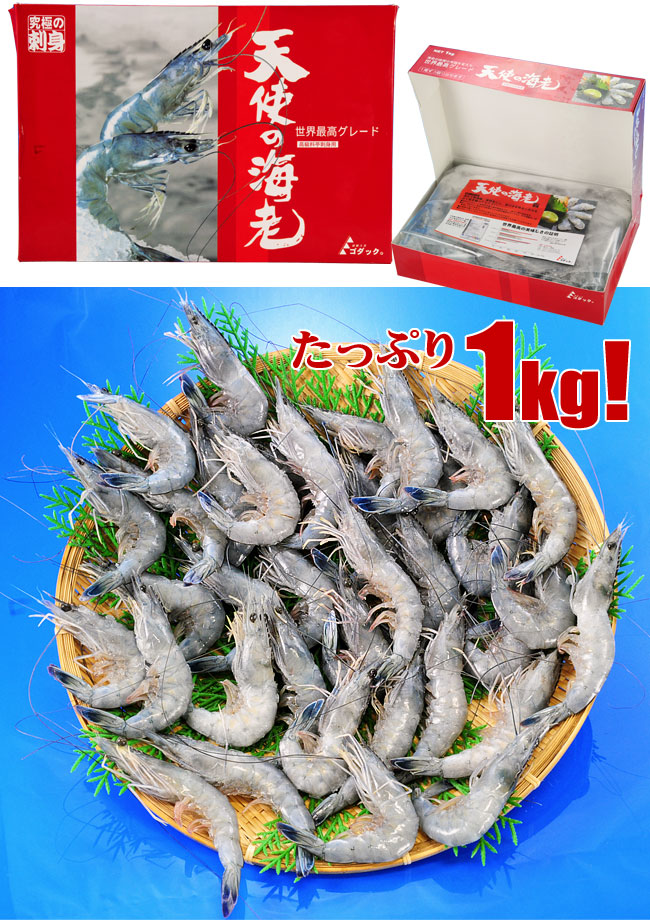 エビ（えび・海老）天使のエビ（えび・海老） 1kg : 山陰海の幸 いそ