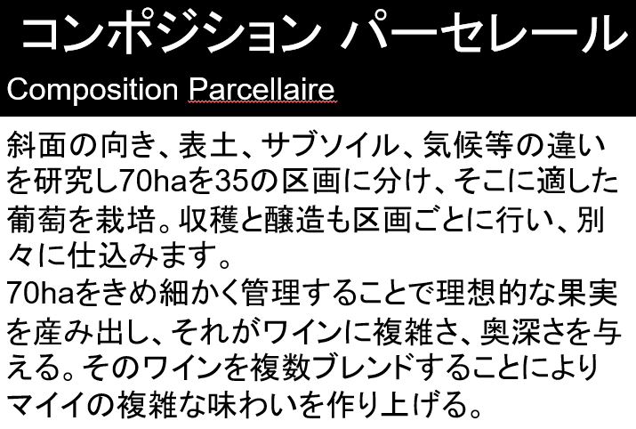 シャンパン マイイ ブラン ド ピノノワール 750ml 3本 グランクリュ シャンパーニュ ギフト  のし・ギフト対応不可｜isshusouden-2｜06