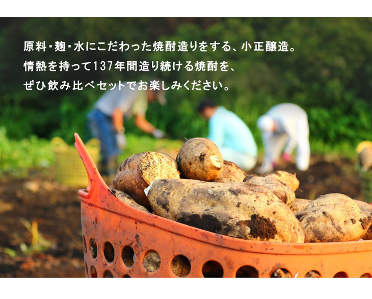 137年間焼酎を作り続ける小正醸造です