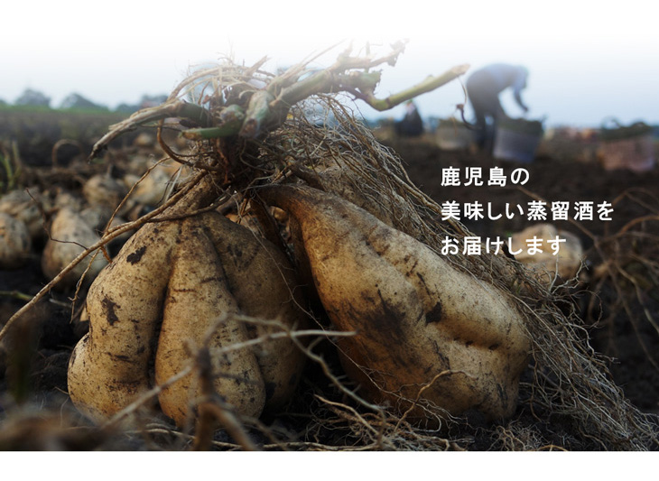 小正醸造は鹿児島のお酒