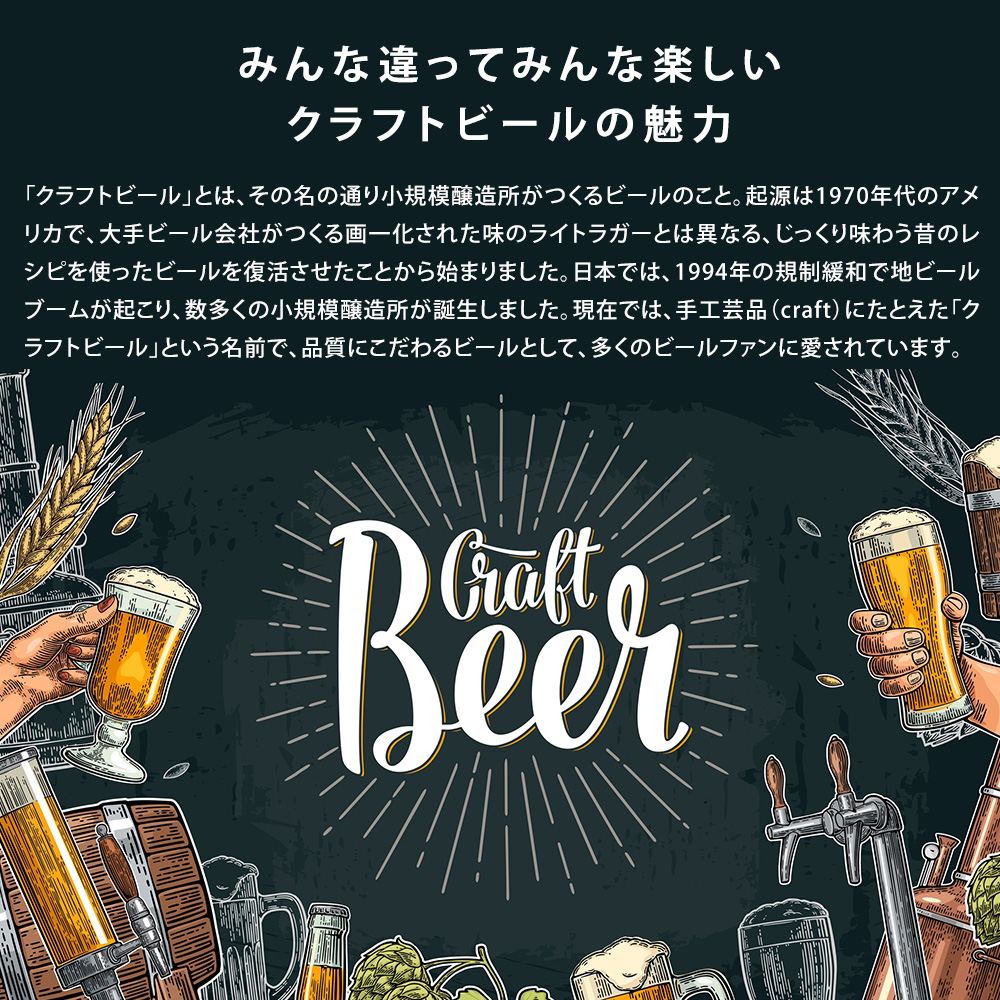 クラフトビール 飲み比べ１８本4〜6