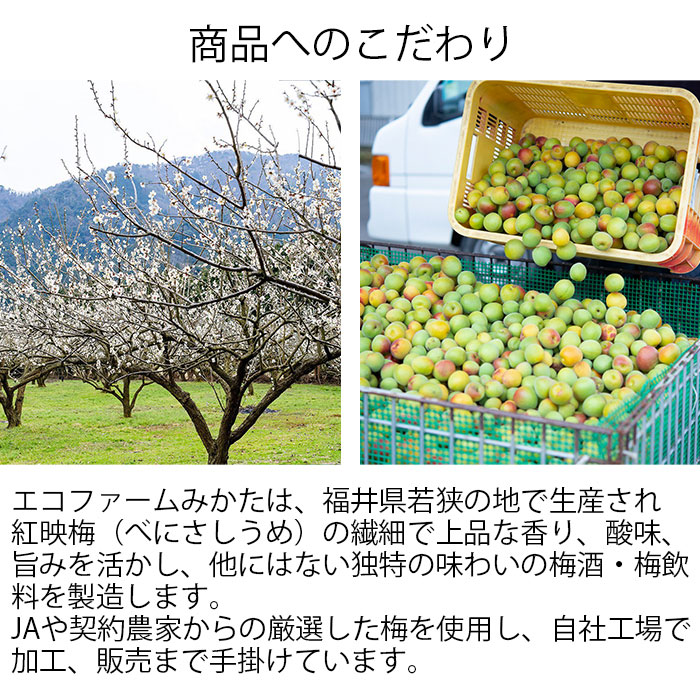 エコファーム梅はちみつ