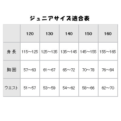 ミズノJRサイズ表