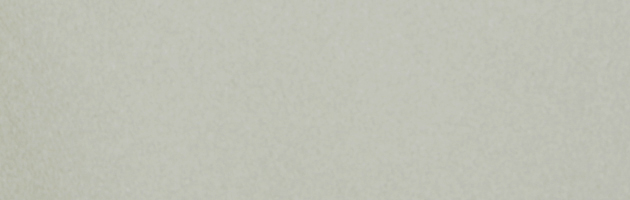 色無地 レンタル 袷〔10月〜5月向き〕グレー色 お宮参り 送料無料 NT-86 色無地 レンタル 袷 10月〜5月向け シルック 一ツ紋 グレー色 着物