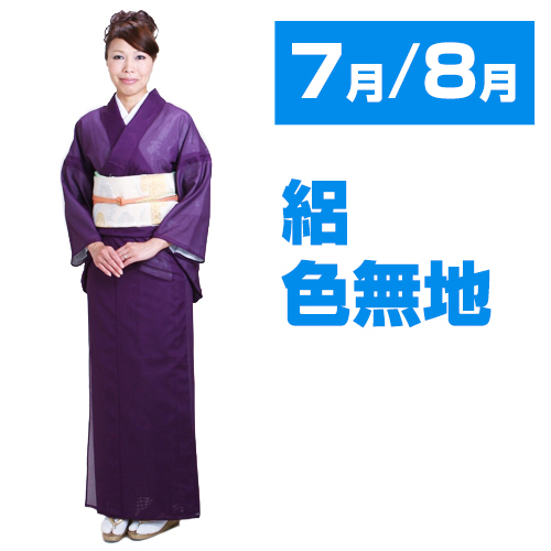 夏着物＊色無地 絽 背紋有 濃紫色 略礼装 正絹 お茶会や祝事に＊7IA16