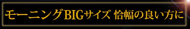 モーニング大きいサイズ