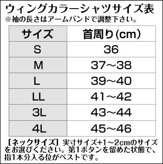 シャツサイズ