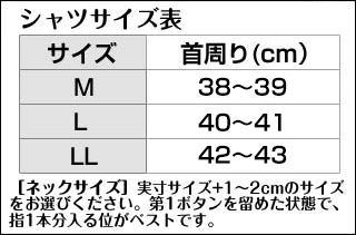 シャツサイズ