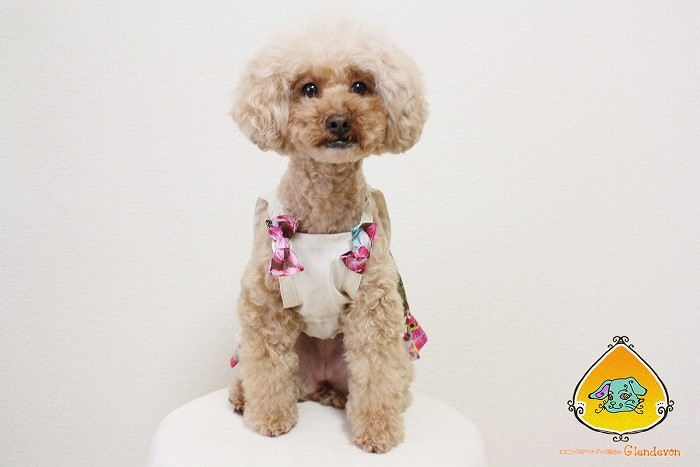 アジアン雑貨・エスニック雑貨のItal Village 犬服 犬の服