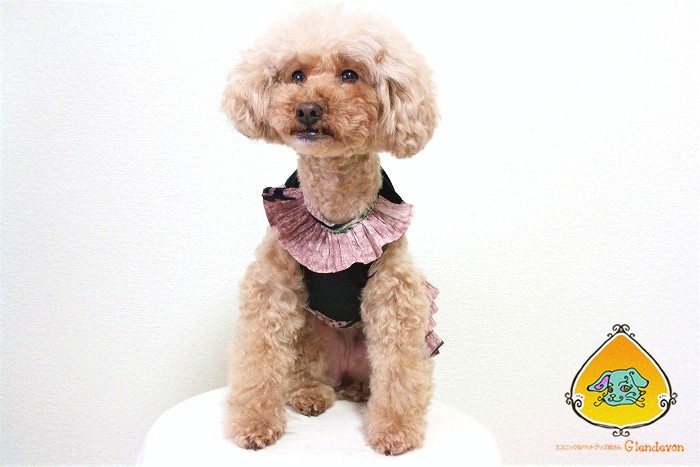 アジアン雑貨・エスニック雑貨のItal Village 犬服 犬の服