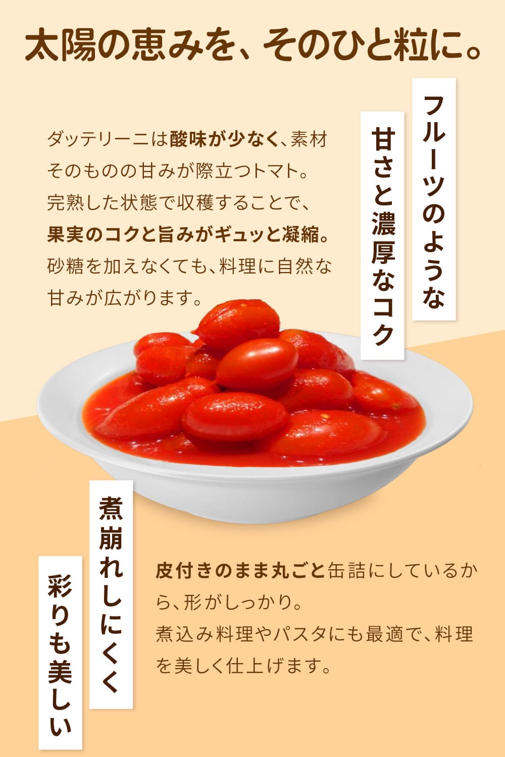 缶詰 ミニトマトホール缶 カサール ダッテリーニ トマト 1ケース 400g