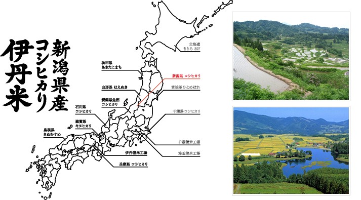 新潟県産コシヒカリの産地画像