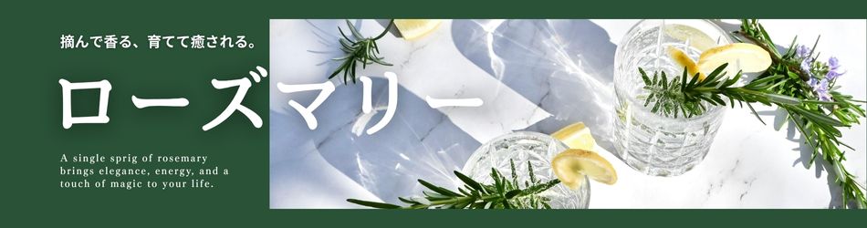ローズマリー