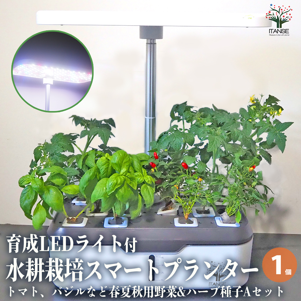 水耕栽培スマートプランターライト付 種子Aセット /1個売り 育成ライト